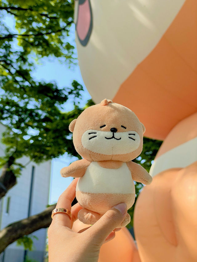 대구 자연속 힐링 자연요가체험!!