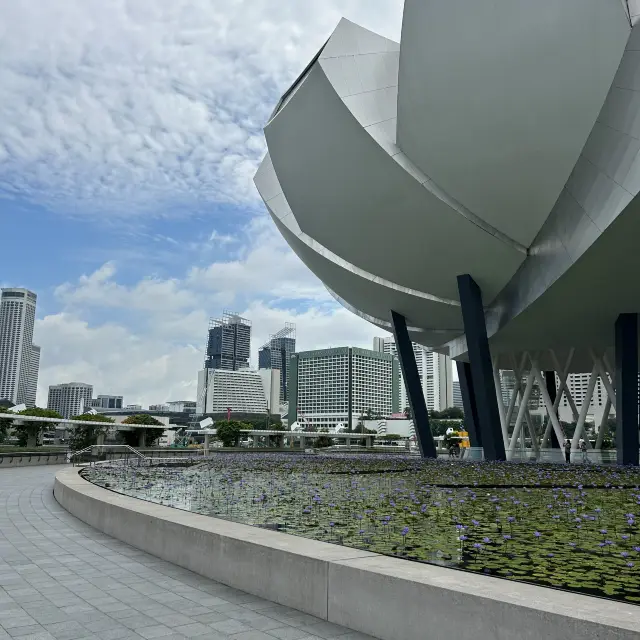 TeamLab Singapore