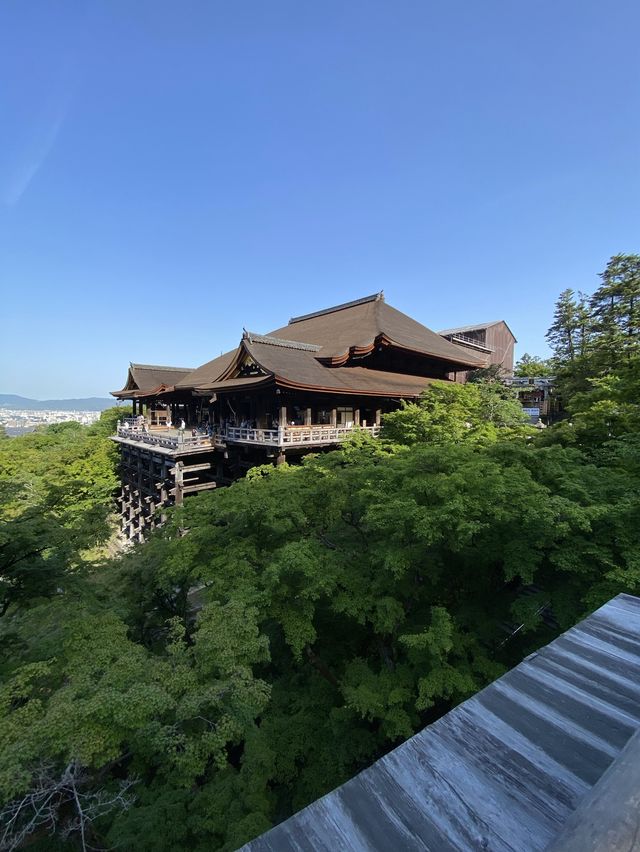 【京都】早朝の清水寺