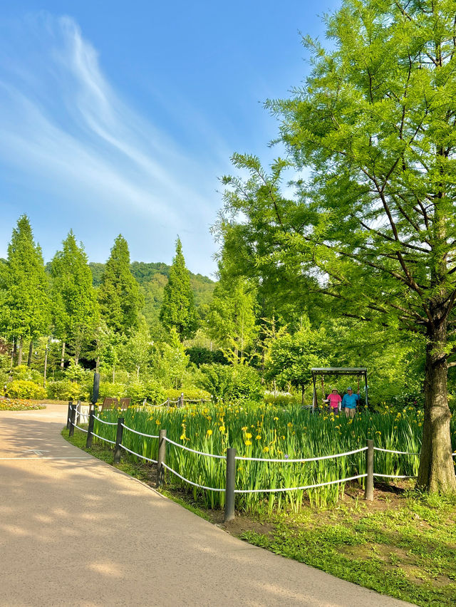 북카페가 있는 서울의 한적한 푸른수목원💚