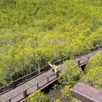 เที่ยววนอุทยานปราณบุรี ดูป่าชายเลน