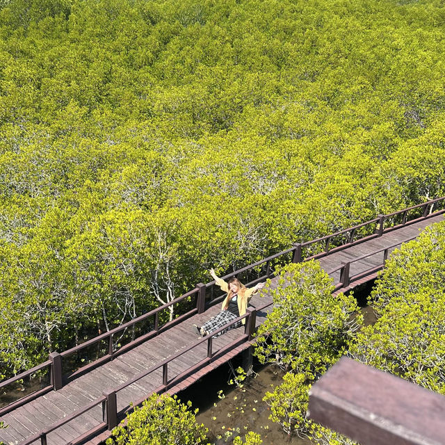 เที่ยววนอุทยานปราณบุรี ดูป่าชายเลน