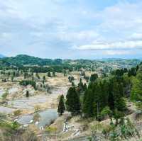 星峠の棚田