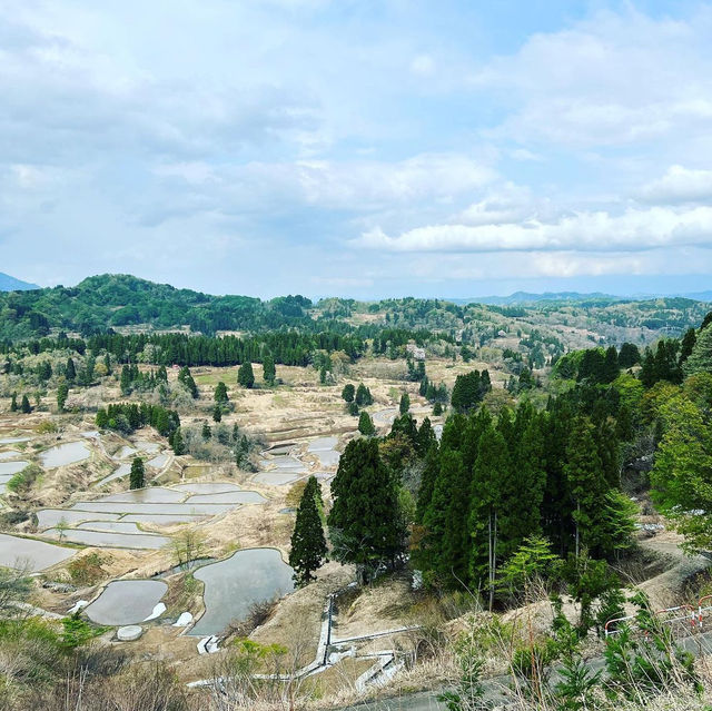 星峠の棚田