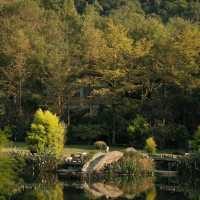 「Everton Park」綠色植物公園，2024年春天好去處