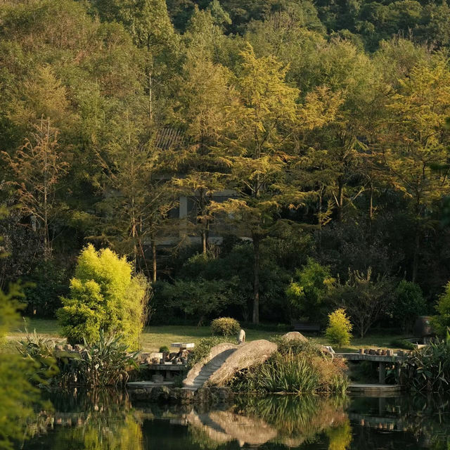 「Everton Park」綠色植物公園，2024年春天好去處