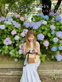 上野恩賜公園の紫陽花