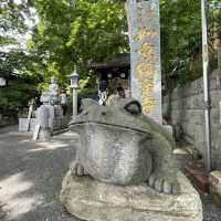 【福岡　小郡】かえる好きにはたまらない