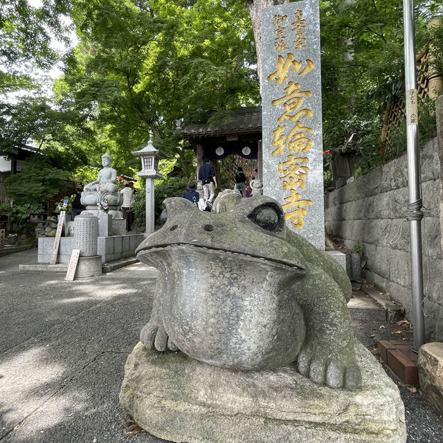【福岡　小郡】かえる好きにはたまらない
