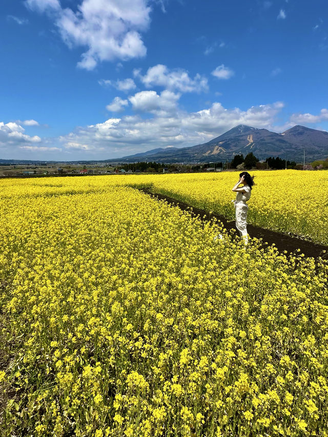 〜福島県〜1泊2日リステルアンブレラスカイ独り占め旅プラン！
