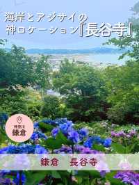 【鎌倉】海岸と紫陽花の神ロケーション『長谷寺』