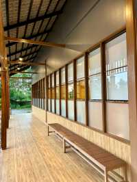 Oshinei 