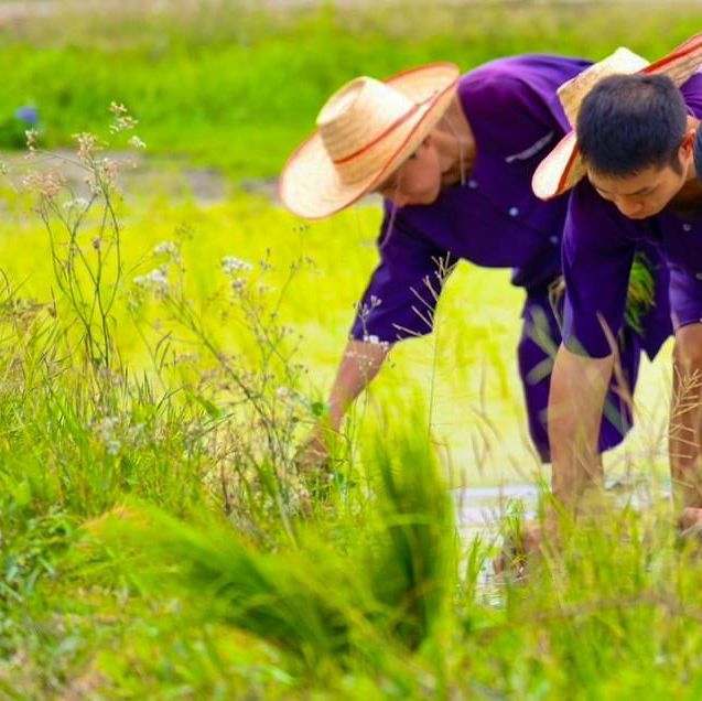 เรียนรู้วิถีชีวิตแบบเรียบง่าย กับการทำเกษตรอินทรีย์