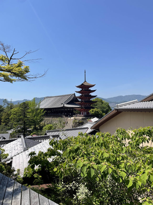 広島　宮島に行ったら絶対行くべき！絶景カフェ