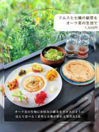 沖縄のやんばるの森を進むと見えてくる、秘密基地🌱