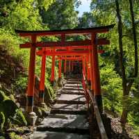日本京都-北方能量之地，玄武震風雷：上賀茂神社