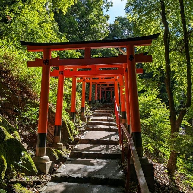 日本京都-北方能量之地，玄武震風雷：上賀茂神社