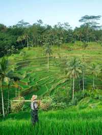 Bali, Indonesia: A Tropical Paradise 🌴🏖️_