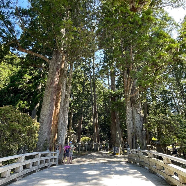 高野山金剛峯寺を訪れました！