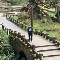 Alishan Taiwan