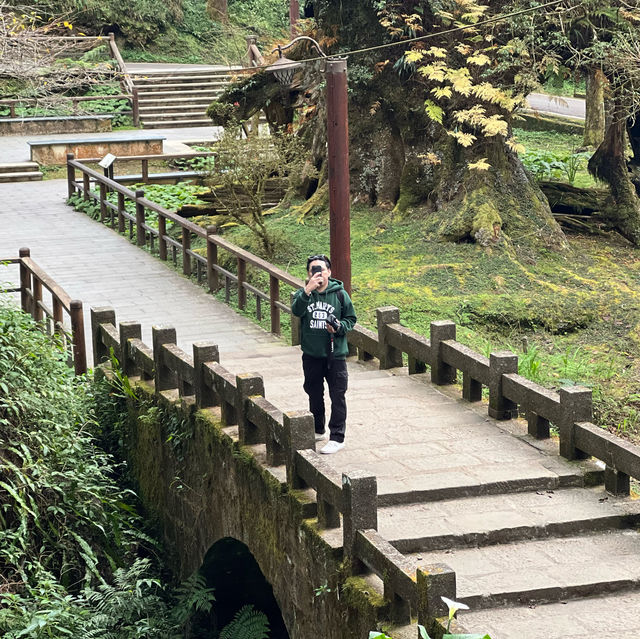 Alishan Taiwan