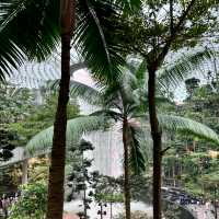 Singapore trip