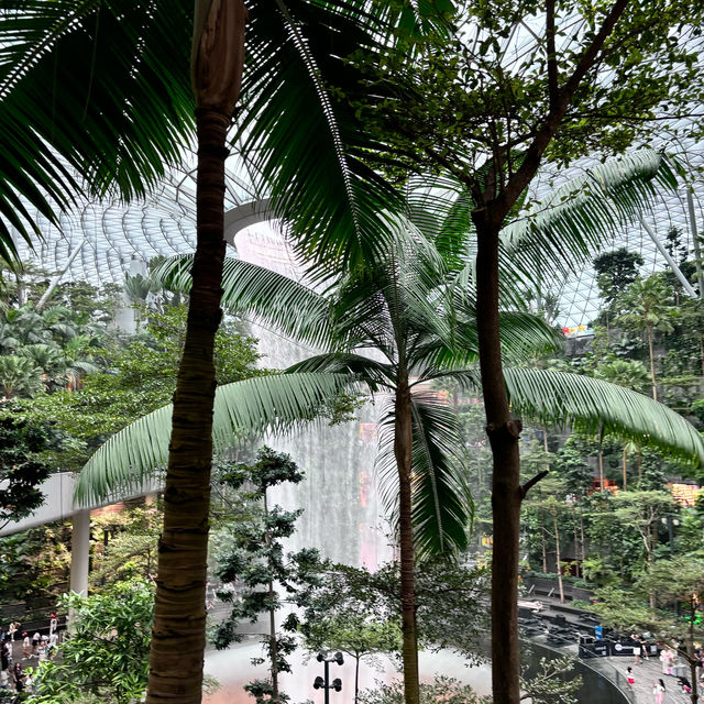 Singapore trip