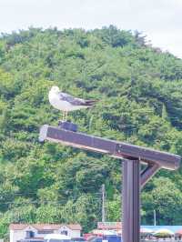 제부도 여행 코스로 추천하는 빨간등대 & 해안산책길