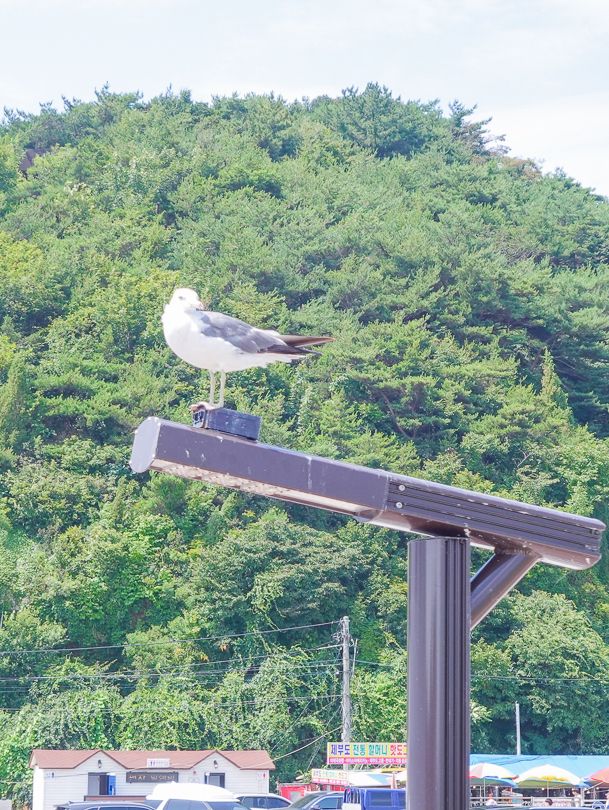 제부도 여행 코스로 추천하는 빨간등대 & 해안산책길