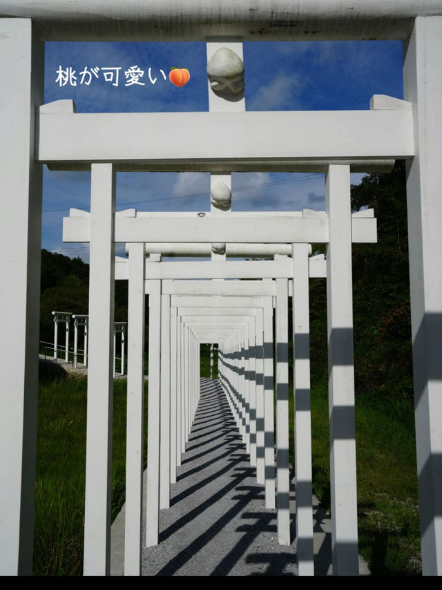 超話題の映えスポット！一度は見てみたい美しい白の千本鳥居🤍