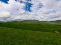 An Exhilarating Drive Across Litang Grassland