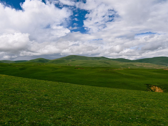 An Exhilarating Drive Across Litang Grassland