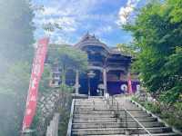 【京都】天橋立が龍のように見える絶景ビュースポット！