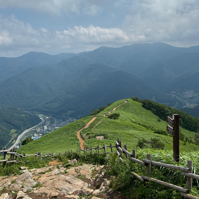20분만에 도착하는 민둥산 여름 정선 돌리네