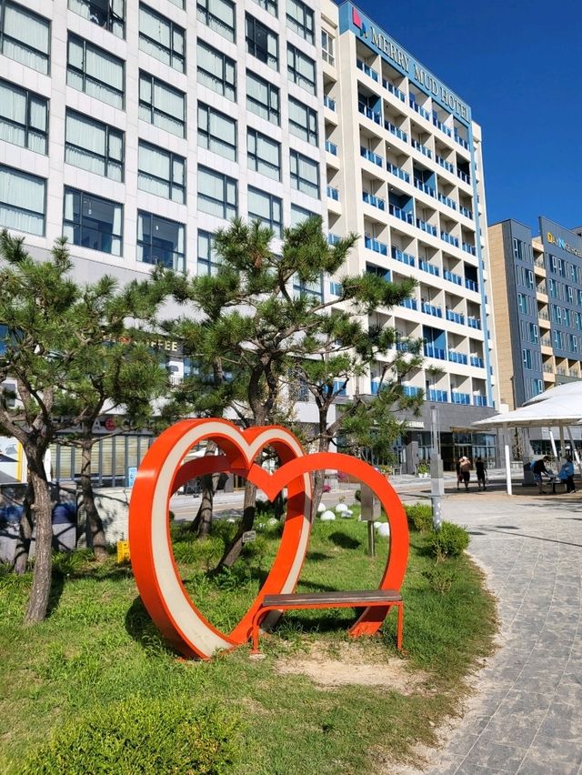 핫한 여름여행지 보령 대천해수욕장