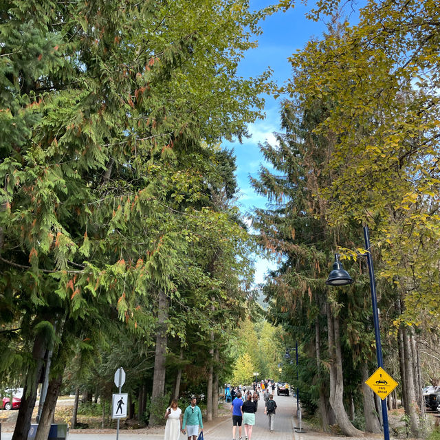 您有來過夏天時候的惠斯勒（Whistler) 嗎？
