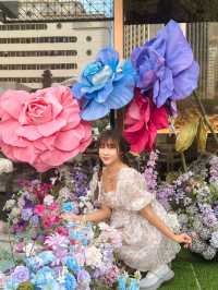 深圳 · 被漂亮花花包圍🌸
