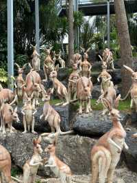 สวนนงนุช พัทยา