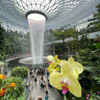 Tropical Oasis at Changi