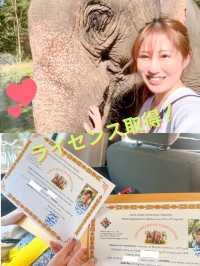 【🇱🇦ラオス】ルアンパバーンで絶対やりたい事❣️象使いのライセンス取得ツアー🐘
