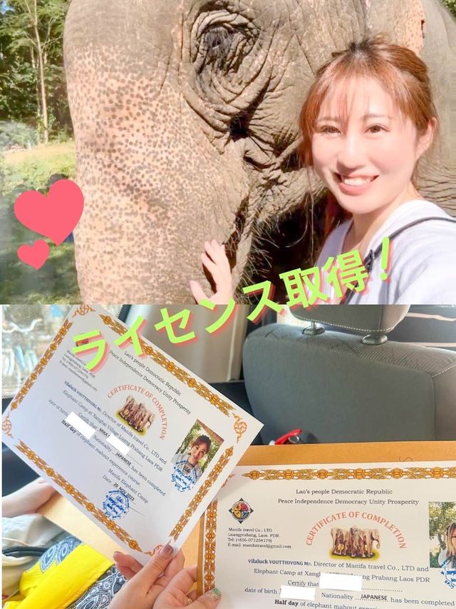 【🇱🇦ラオス】ルアンパバーンで絶対やりたい事❣️象使いのライセンス取得ツアー🐘