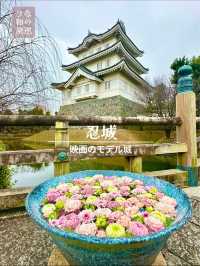 〜埼玉県〜花手水が美しい忍城　映画のぼうの城のモデル城