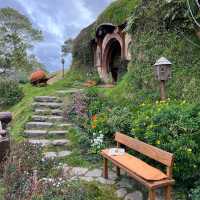 Must visit place in auckland