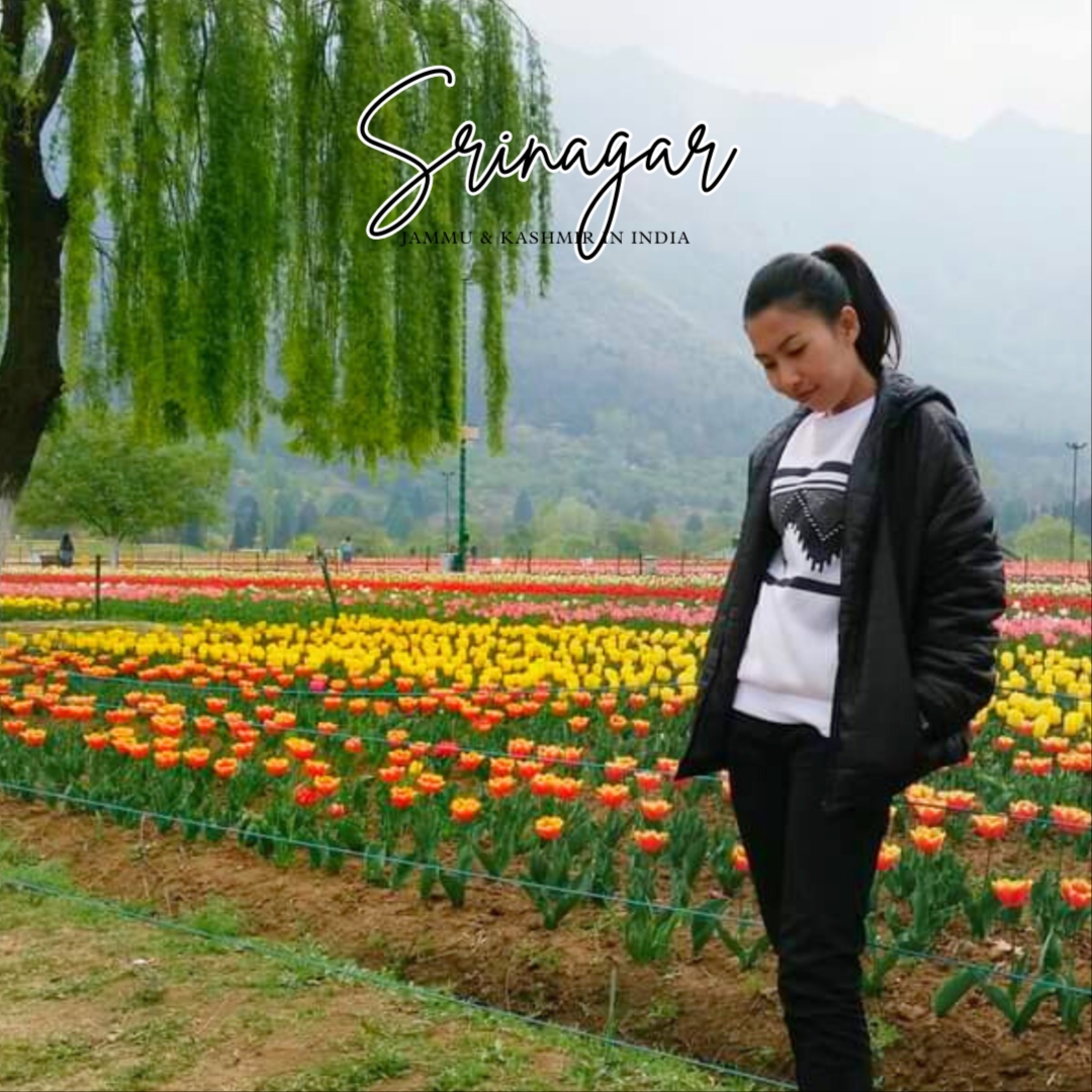 Srinagar Srinagar Ai nói chỉ có bạo loạn?