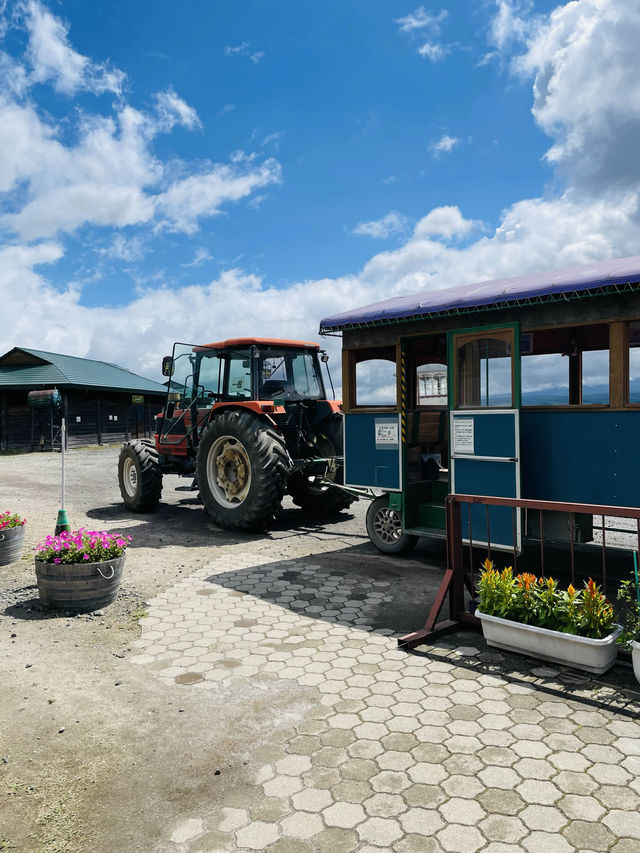 【北海道:上富良野】トラクターバスからのんびり景色を楽しむ「フラワーランドかみふらの」