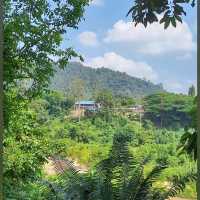 Into the Wild: Uncover the Mysteries of Taman Negara, Pahang