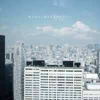 【東京】新宿の無料展望台から見るスカイツリーが絶景だった🏙