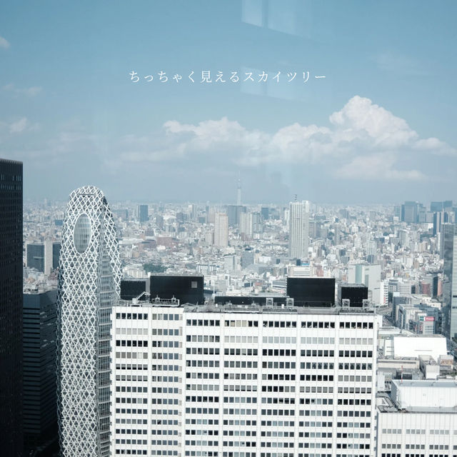 【東京】新宿の無料展望台から見るスカイツリーが絶景だった🏙