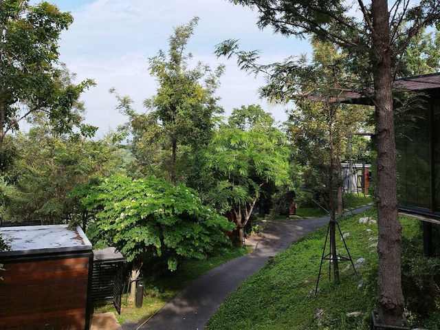 🏕️📍เดอะปาซ เขาใหญ่