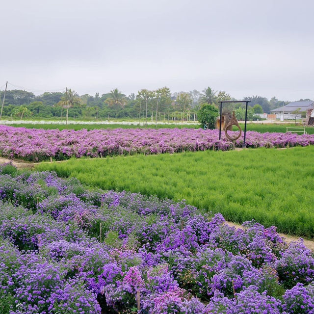 สวนดอกไม้ป้านกเอี้ยง